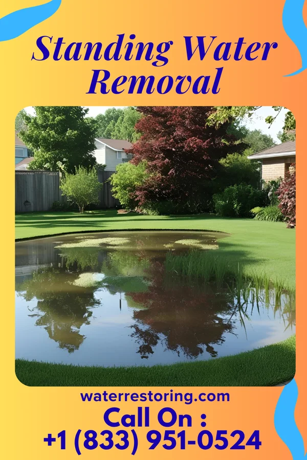 Standing Water Removal in Vincent, AL